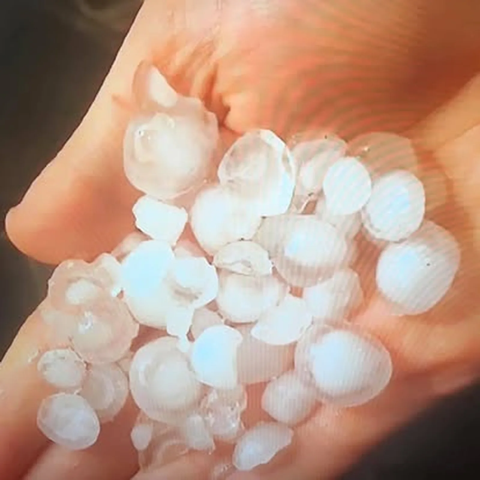 Hail-size documentation used to record storm conditions