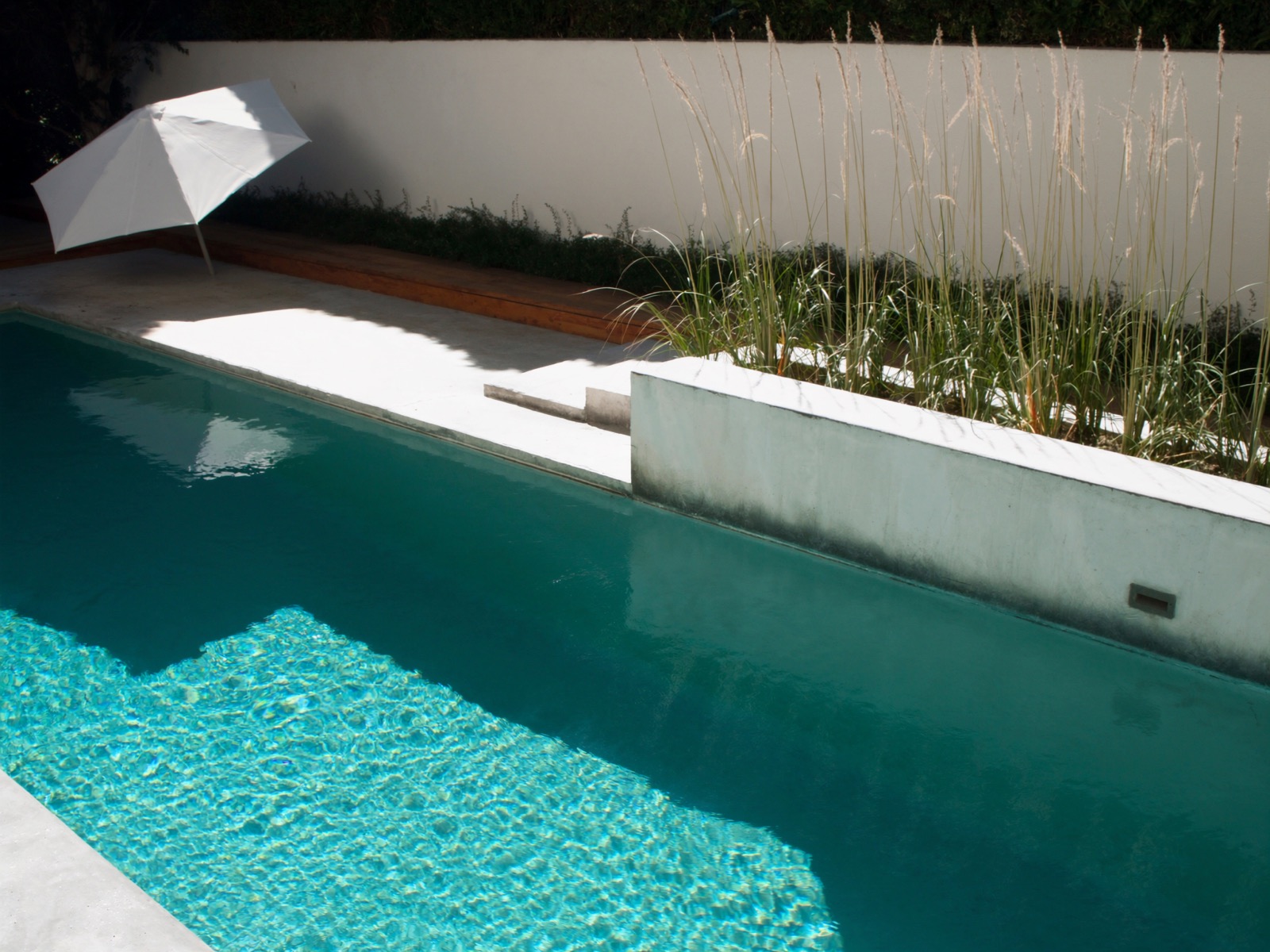 Modern minimalist lap pool, Southlake, TX